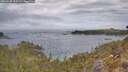 ./images/calvert/foggy-cove/20260430/foggy-cove20260430_115501M.jpg