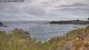 ./images/calvert/foggy-cove/20260430/foggy-cove20260430_120001M.jpg