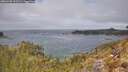 ./images/calvert/foggy-cove/20260430/foggy-cove20260430_121501M.jpg