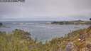 ./images/calvert/foggy-cove/20260430/foggy-cove20260430_122001M.jpg
