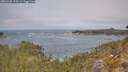 ./images/calvert/foggy-cove/20260430/foggy-cove20260430_122501M.jpg