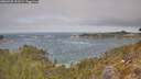 ./images/calvert/foggy-cove/20260430/foggy-cove20260430_123501M.jpg
