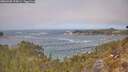 ./images/calvert/foggy-cove/20260430/foggy-cove20260430_125002M.jpg