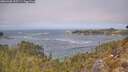 ./images/calvert/foggy-cove/20260430/foggy-cove20260430_125501M.jpg