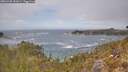 ./images/calvert/foggy-cove/20260430/foggy-cove20260430_131001M.jpg
