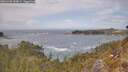 ./images/calvert/foggy-cove/20260430/foggy-cove20260430_132001M.jpg