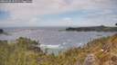 ./images/calvert/foggy-cove/20260430/foggy-cove20260430_132501M.jpg