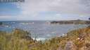 ./images/calvert/foggy-cove/20260430/foggy-cove20260430_133502M.jpg