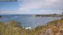 ./images/calvert/foggy-cove/20260430/foggy-cove20260430_134001M.jpg