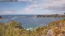 ./images/calvert/foggy-cove/20260430/foggy-cove20260430_134501M.jpg