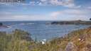 ./images/calvert/foggy-cove/20260430/foggy-cove20260430_140001M.jpg