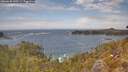 ./images/calvert/foggy-cove/20260430/foggy-cove20260430_140501M.jpg