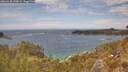 ./images/calvert/foggy-cove/20260430/foggy-cove20260430_142001M.jpg
