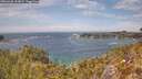 ./images/calvert/foggy-cove/20260430/foggy-cove20260430_143002M.jpg