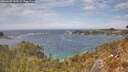 ./images/calvert/foggy-cove/20260430/foggy-cove20260430_143502M.jpg