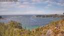 ./images/calvert/foggy-cove/20260430/foggy-cove20260430_144001M.jpg