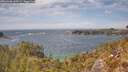 ./images/calvert/foggy-cove/20260430/foggy-cove20260430_144501M.jpg