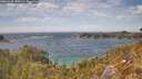 ./images/calvert/foggy-cove/20260430/foggy-cove20260430_150501M.jpg