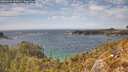 ./images/calvert/foggy-cove/20260430/foggy-cove20260430_152001M.jpg
