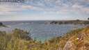 ./images/calvert/foggy-cove/20260430/foggy-cove20260430_152501M.jpg