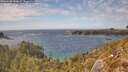 ./images/calvert/foggy-cove/20260430/foggy-cove20260430_153001M.jpg
