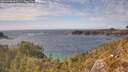 ./images/calvert/foggy-cove/20260430/foggy-cove20260430_153501M.jpg