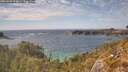 ./images/calvert/foggy-cove/20260430/foggy-cove20260430_154001M.jpg