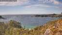 ./images/calvert/foggy-cove/20260430/foggy-cove20260430_161001M.jpg