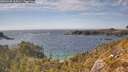 ./images/calvert/foggy-cove/20260430/foggy-cove20260430_162001M.jpg