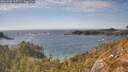 ./images/calvert/foggy-cove/20260430/foggy-cove20260430_162501M.jpg