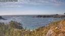 ./images/calvert/foggy-cove/20260430/foggy-cove20260430_164001M.jpg