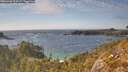 ./images/calvert/foggy-cove/20260430/foggy-cove20260430_164502M.jpg
