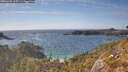 ./images/calvert/foggy-cove/20260430/foggy-cove20260430_165501M.jpg