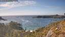 ./images/calvert/foggy-cove/20260430/foggy-cove20260430_171501M.jpg
