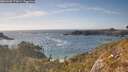./images/calvert/foggy-cove/20260430/foggy-cove20260430_173001M.jpg