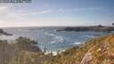 ./images/calvert/foggy-cove/20260430/foggy-cove20260430_174001M.jpg