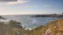 ./images/calvert/foggy-cove/20260430/foggy-cove20260430_175501M.jpg