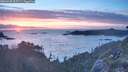 ./images/calvert/foggy-cove/20260430/foggy-cove20260430_205501M.jpg