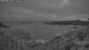 ./images/calvert/foggy-cove/20260501/foggy-cove20260501_053001M.jpg
