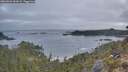 ./images/calvert/foggy-cove/20260501/foggy-cove20260501_061001M.jpg