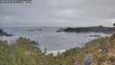 ./images/calvert/foggy-cove/20260501/foggy-cove20260501_061501M.jpg