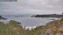 ./images/calvert/foggy-cove/20260501/foggy-cove20260501_062001M.jpg