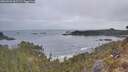 ./images/calvert/foggy-cove/20260501/foggy-cove20260501_062501M.jpg