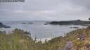 ./images/calvert/foggy-cove/20260501/foggy-cove20260501_063001M.jpg