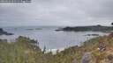 ./images/calvert/foggy-cove/20260501/foggy-cove20260501_063502M.jpg