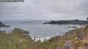 ./images/calvert/foggy-cove/20260501/foggy-cove20260501_064001M.jpg