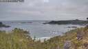 ./images/calvert/foggy-cove/20260501/foggy-cove20260501_072501M.jpg