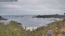 ./images/calvert/foggy-cove/20260501/foggy-cove20260501_073001M.jpg
