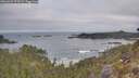 ./images/calvert/foggy-cove/20260501/foggy-cove20260501_073501M.jpg
