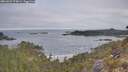 ./images/calvert/foggy-cove/20260501/foggy-cove20260501_074001M.jpg